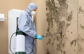 Best Forensic Mold Investigation  in Paradise Valley, AZ